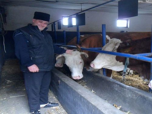Čorba Peter odgajivač simentalske rase