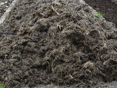 Vrste komposta u organskoj proizvodnji 6 organsko